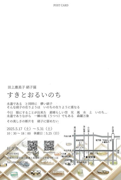すきとおるいのち